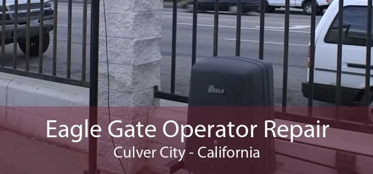 Eagle Gate Operator Repair Culver City - California